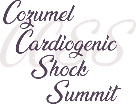 logoCCSS2025 logoCCSS2025